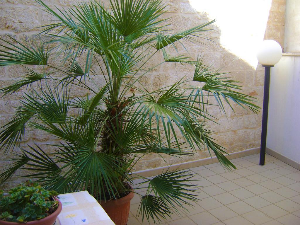 B&B Aquila Alberobello Exterior foto